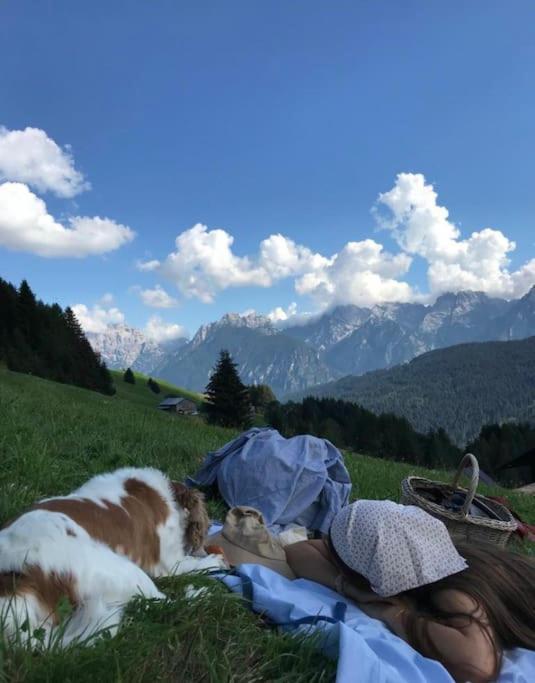 Tabia Di Francesca - Fienile Tra Le Montagne Silenziose Daire Candide Dış mekan fotoğraf