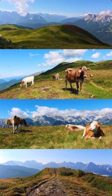 Tabia Di Francesca - Fienile Tra Le Montagne Silenziose Daire Candide Dış mekan fotoğraf