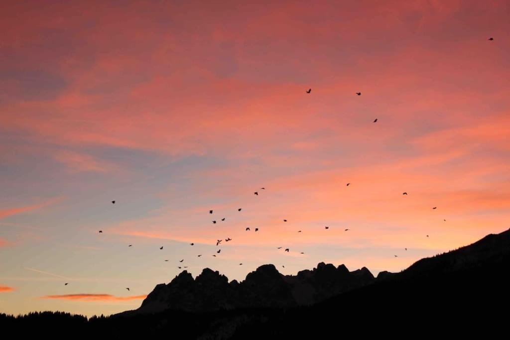 Tabia Di Francesca - Fienile Tra Le Montagne Silenziose Daire Candide Dış mekan fotoğraf